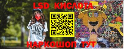 стафф Будённовск