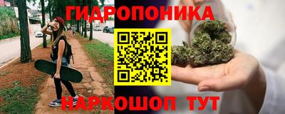 стафф Будённовск