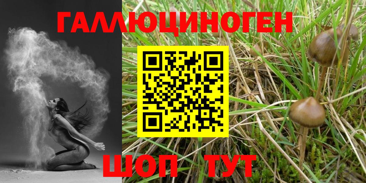 хочу   Вход с VPN  Галлюциногенные грибы прущие грибы  Юрга  Псилоцибиновые грибы прущие грибы 